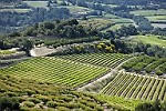 Vignoble Côtes du Rhône Parallèle 45