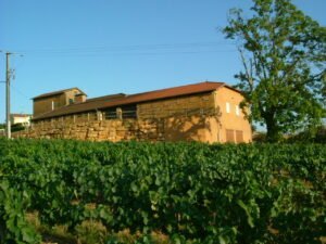 Domaine des Terres Dorées producteur aussi de vin effervescent