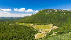 Vignoble Cotes de Provence rouge