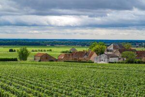 Appellation Bourgogne