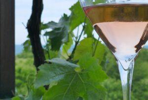 Service et dégustation du vin Beaujolais rosé