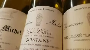 dégustation vin blanc : Viré-Clessé Domaine Michel