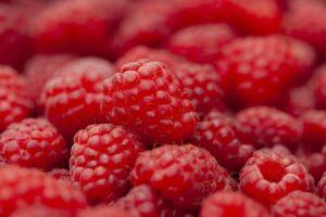 Fruits servant à la production de la bec rose