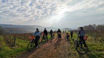 Balade en vélo électrique dans les vignes chez Mathelin : bonne idée EVG