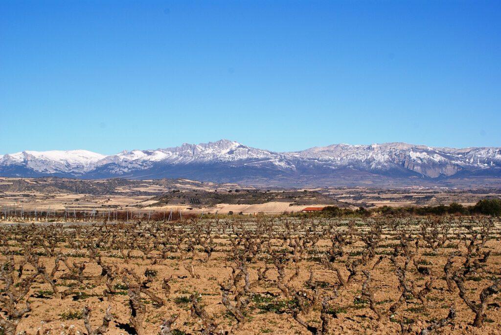 Rioja : les vins étrangers en Espagne