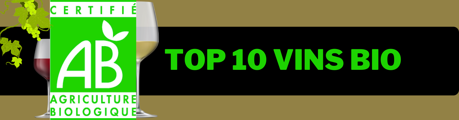 TOP 10 VINS BIO