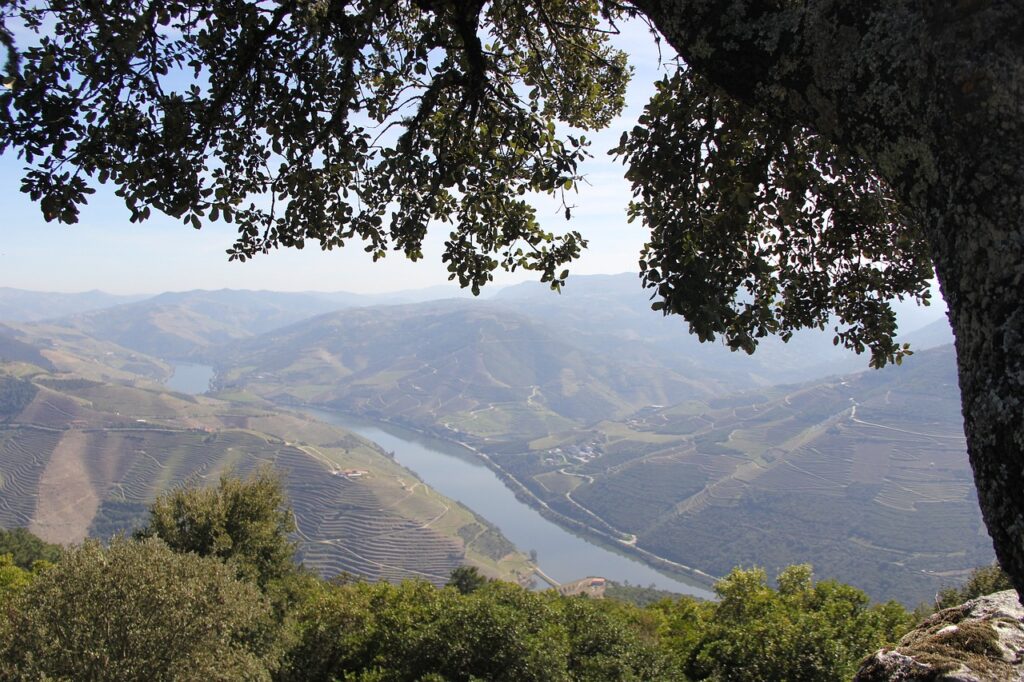 Douro, vallée productrice des différents Porto