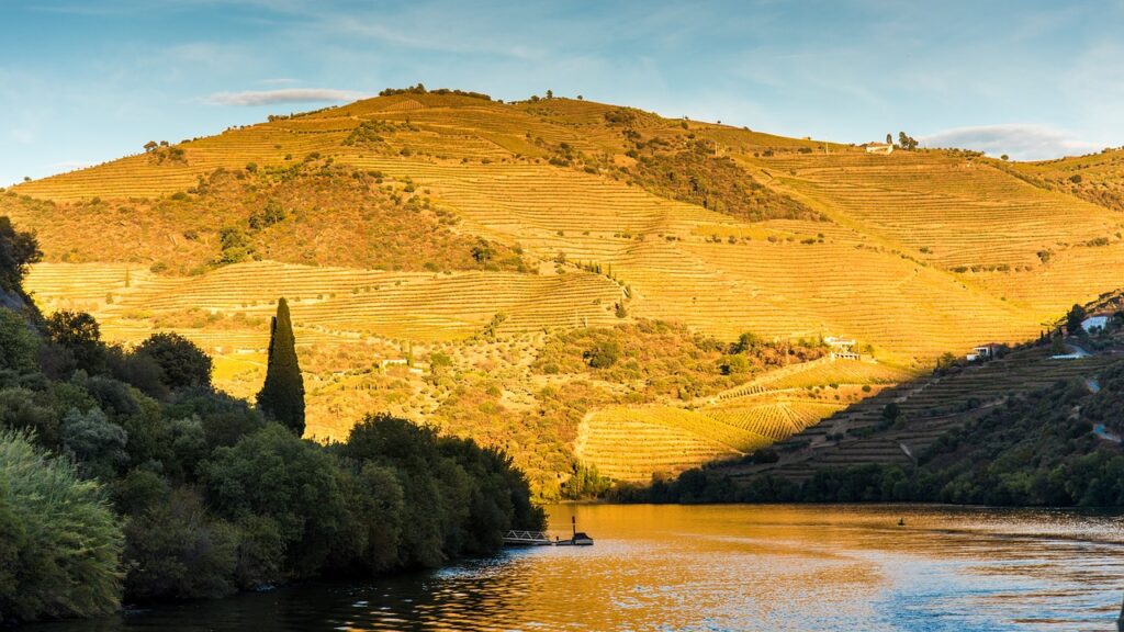 Vallée du Douro