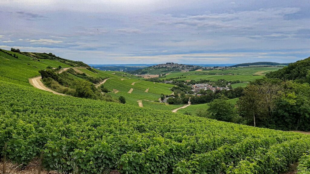 Etape du Tour de France des Vins 2024 vers Sancerre