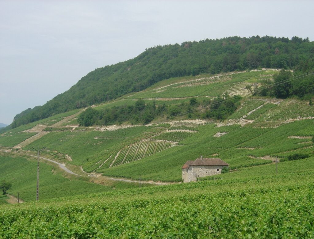 Coteau de Marestel, étape du Tour de France des Vins 2024