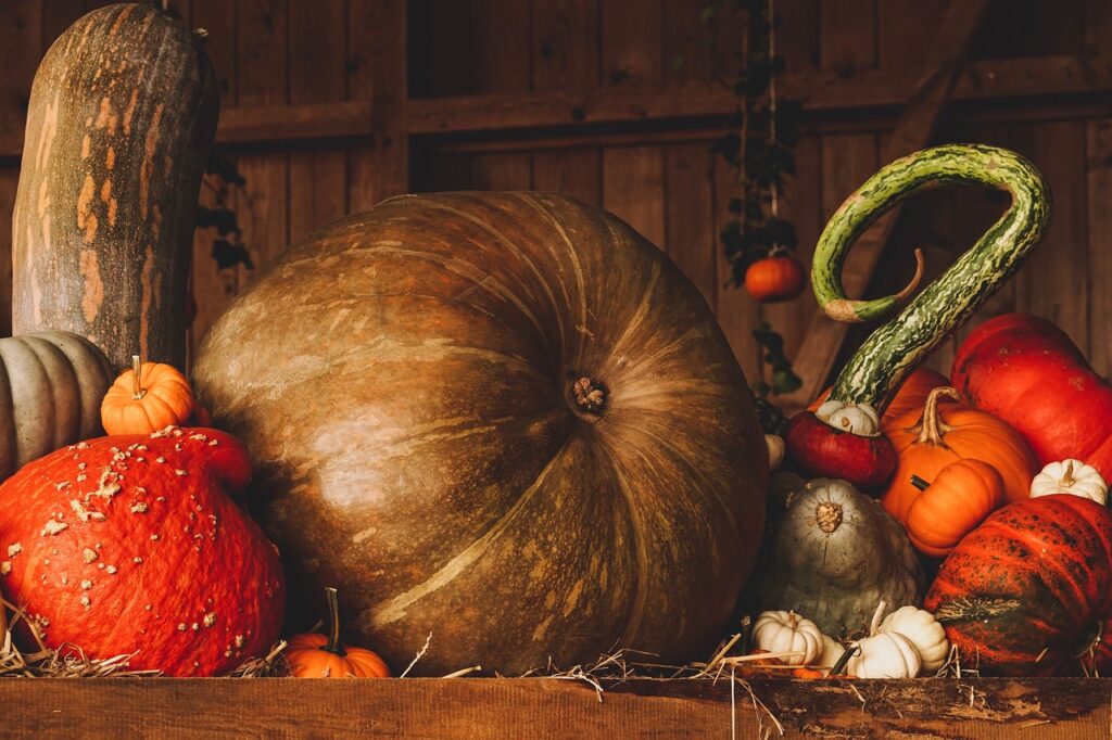 Courges pour les repas d'automne