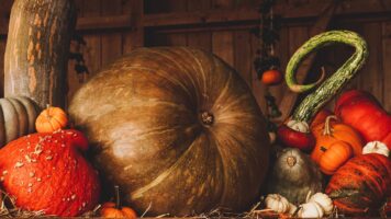 Courges pour les repas d'automne