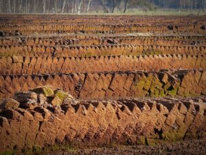 bernswaelz-peat-1263431_1280