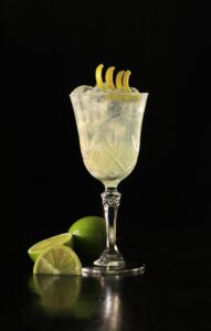 7303458-gin-and-tonic-4499713