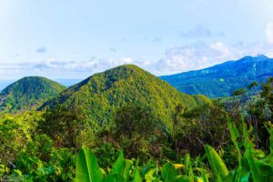 lesbains39-guadeloupe-6802957_1280